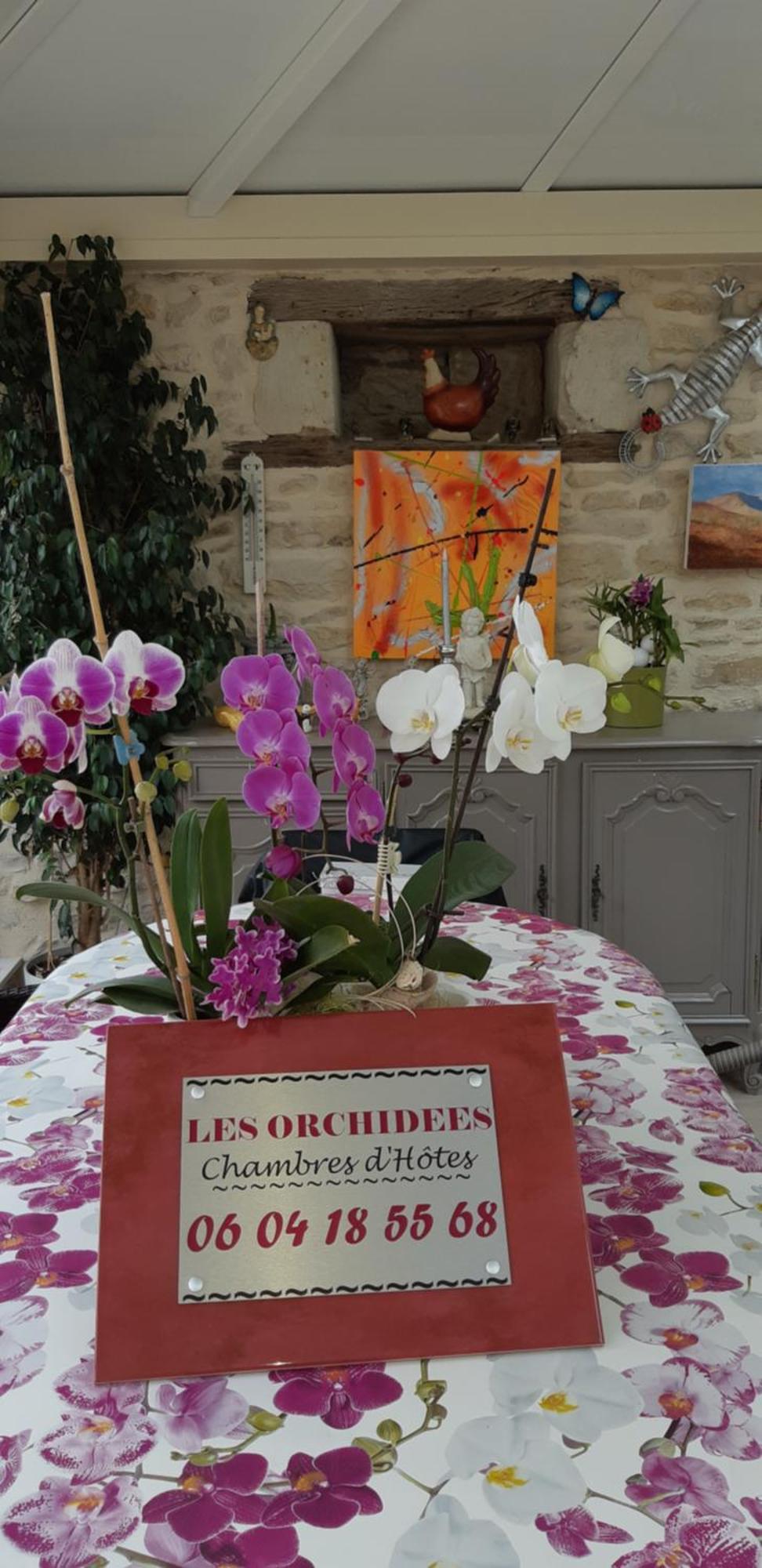 Les Orchidees Chambre Hotes Futuroscope Chasseneuil Poitiers Jaunay-Clan Exterior foto